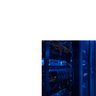 Network Ürünleri